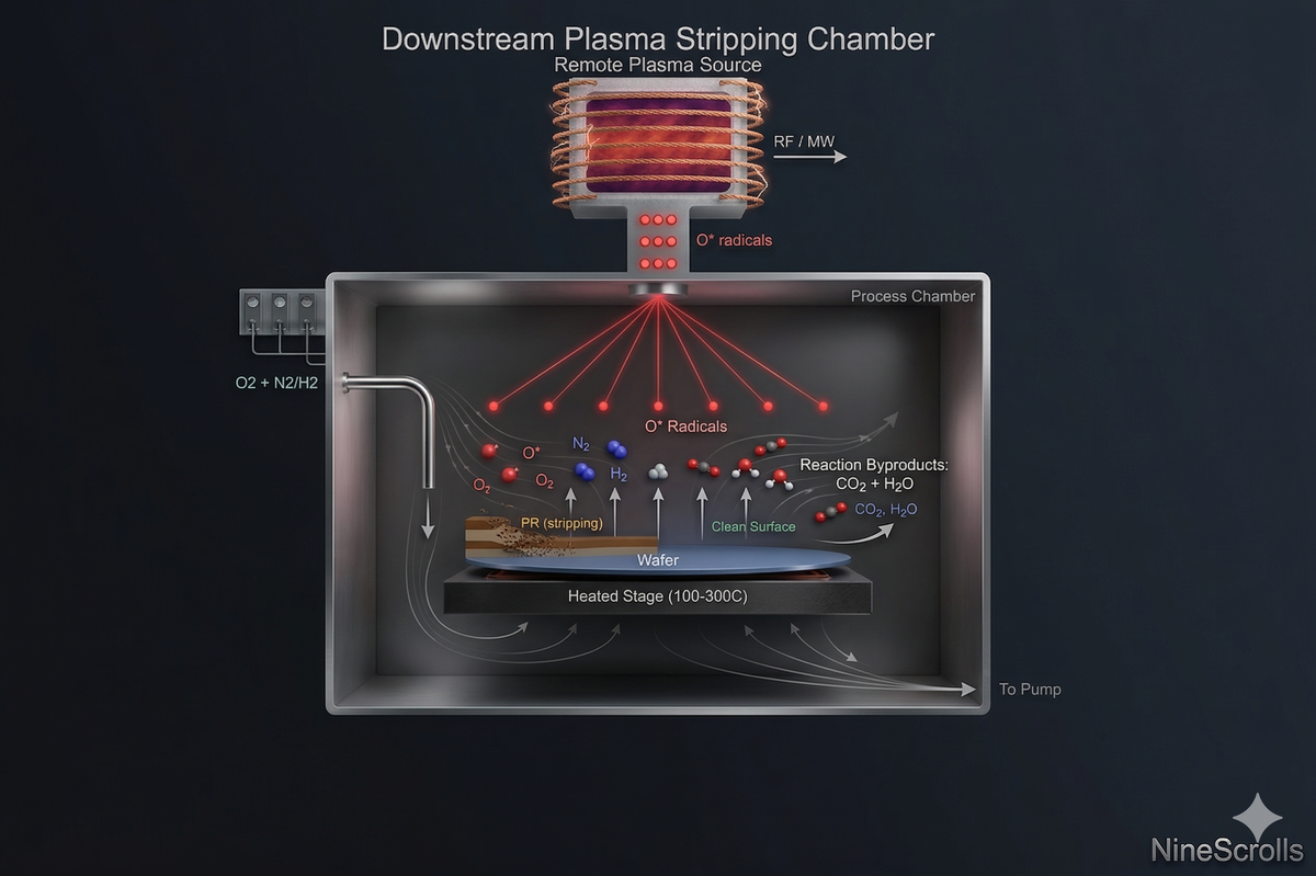 Downstream plasma stripping chamber showing remote plasma source, transport tube, O radicals, and wafer with PR being stripped
