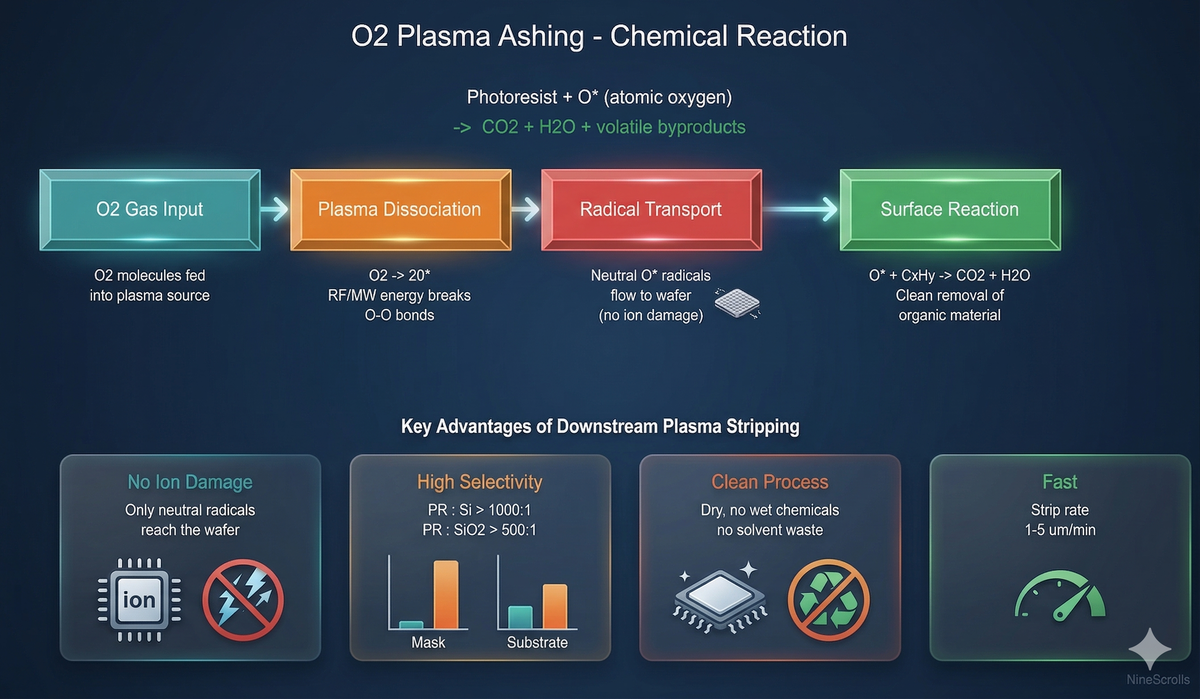 O2 plasma ashing chemical reaction process: gas input, plasma dissociation, radical transport, and surface reaction